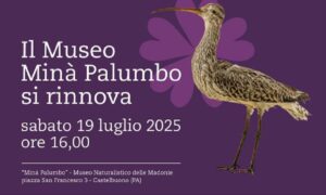 Museo Minà Palumbo