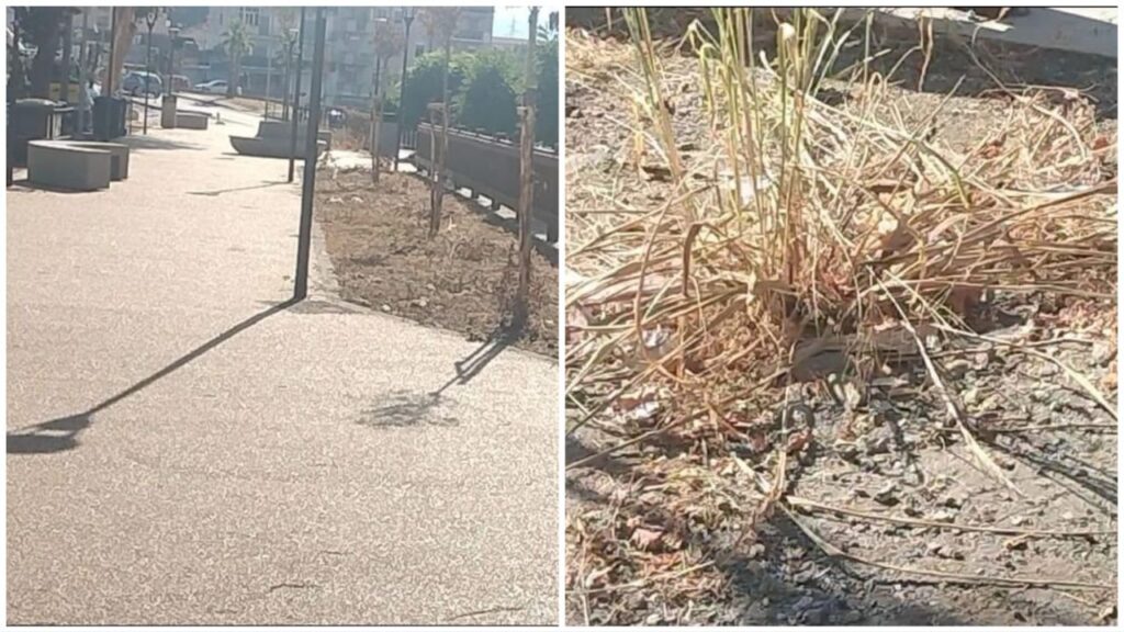 Raso al suolo verde Foresta Me Villaggio Aldisio