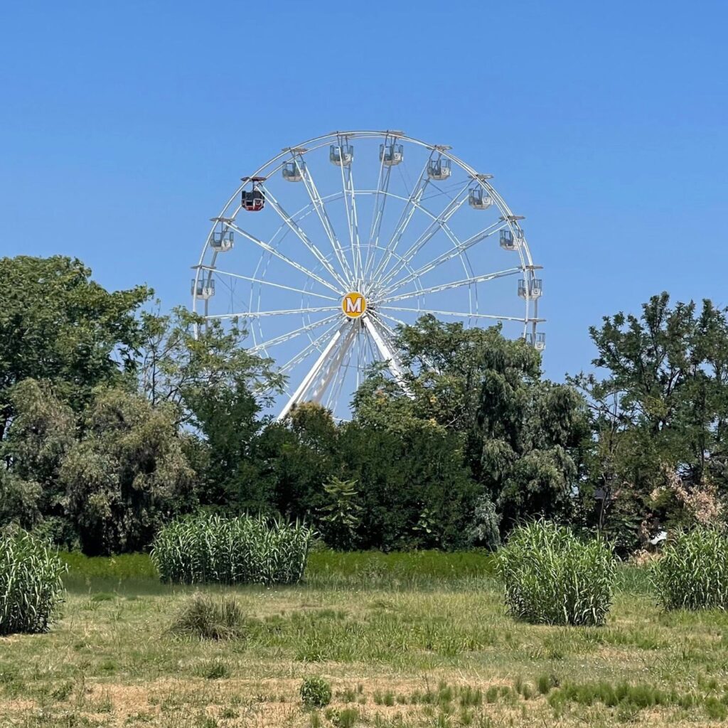Ruota panoramica corigliano rossano (2)