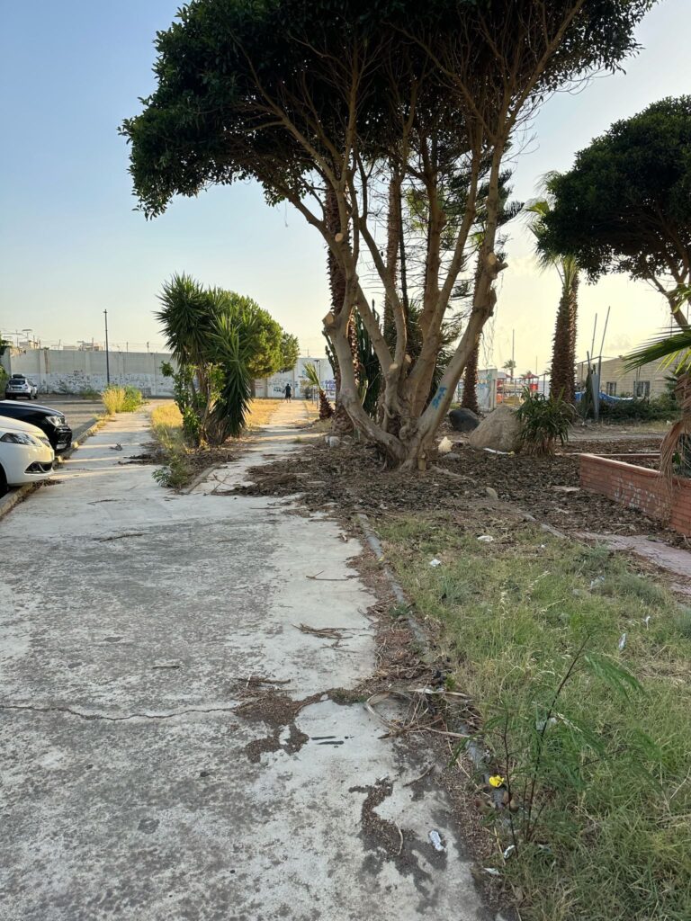 degrado lungomare pellaro