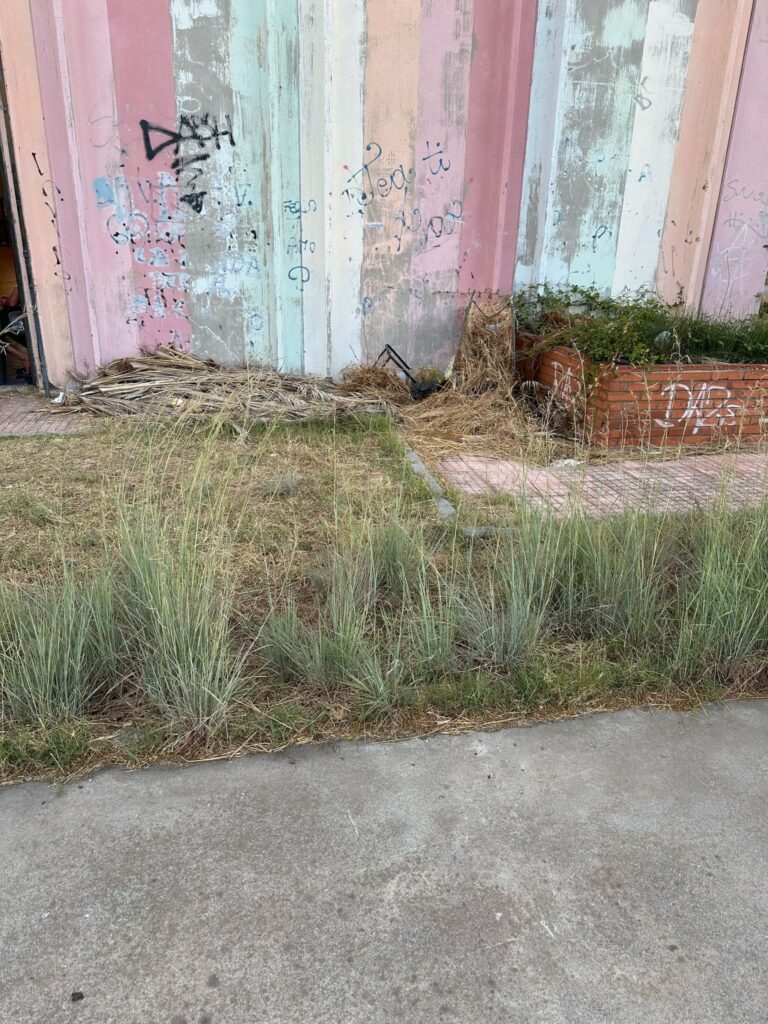 degrado lungomare pellaro