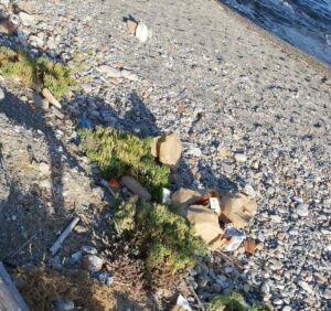 degrado punta pellaro