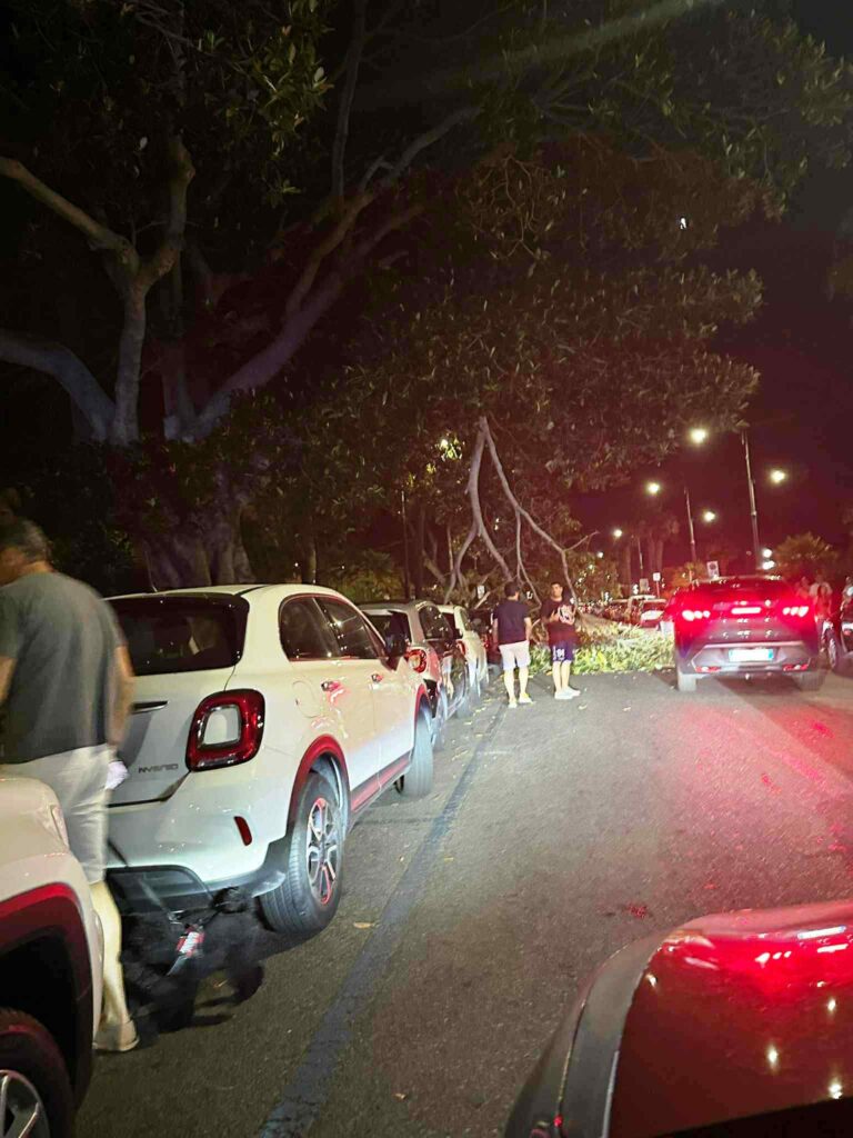 grosso ramo caduto lungomare