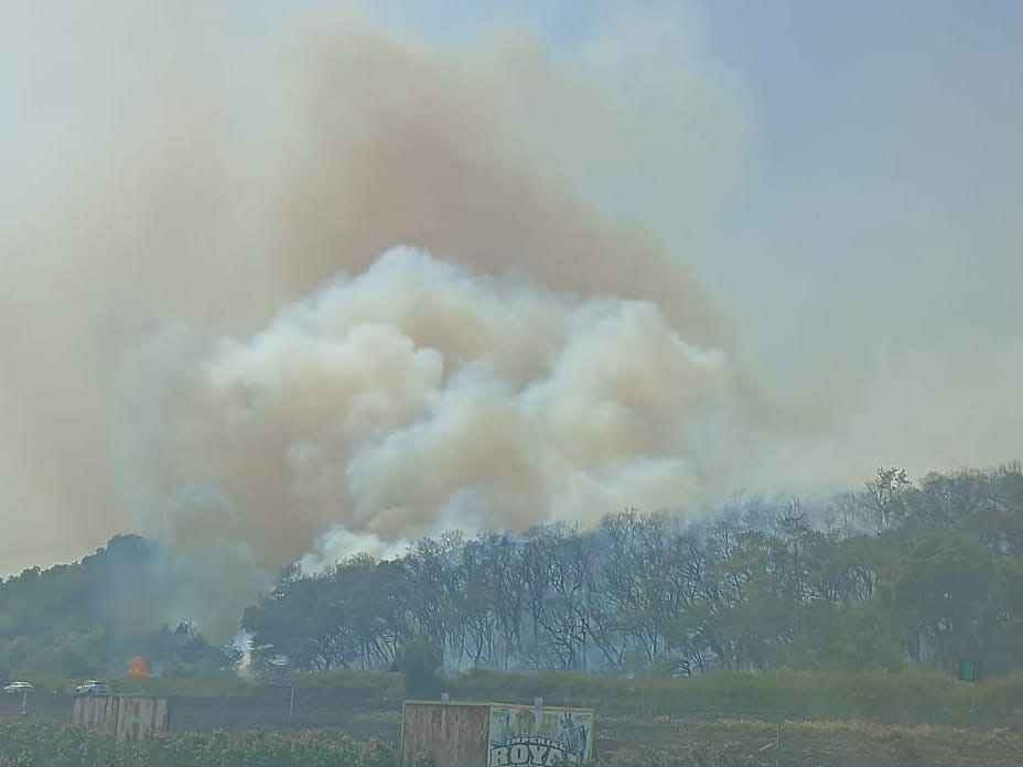 incendio catanzaro