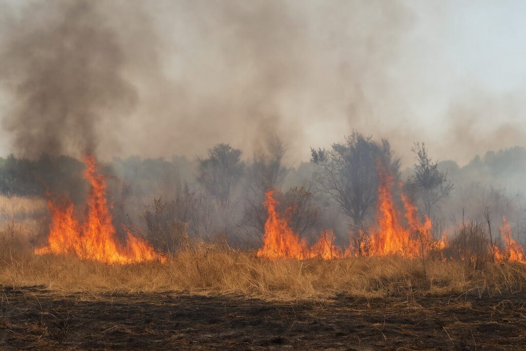 incendio terreno