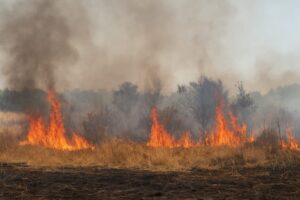 incendio terreno