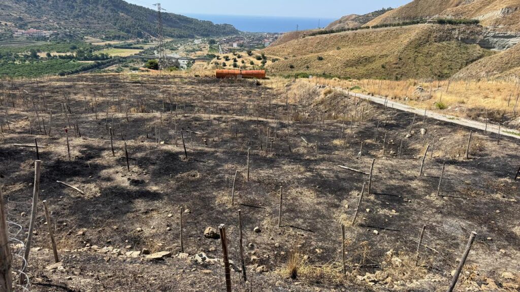 incendio terreno confiscato melito porto salvo