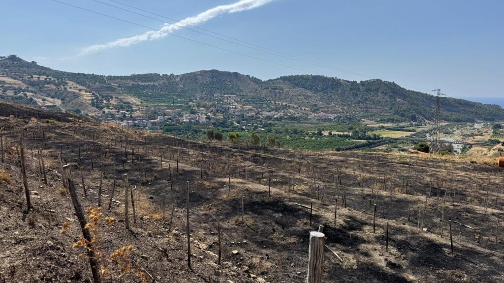 incendio terreno confiscato melito porto salvo