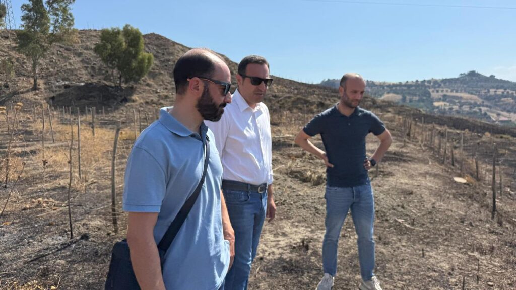 incendio terreno confiscato melito porto salvo