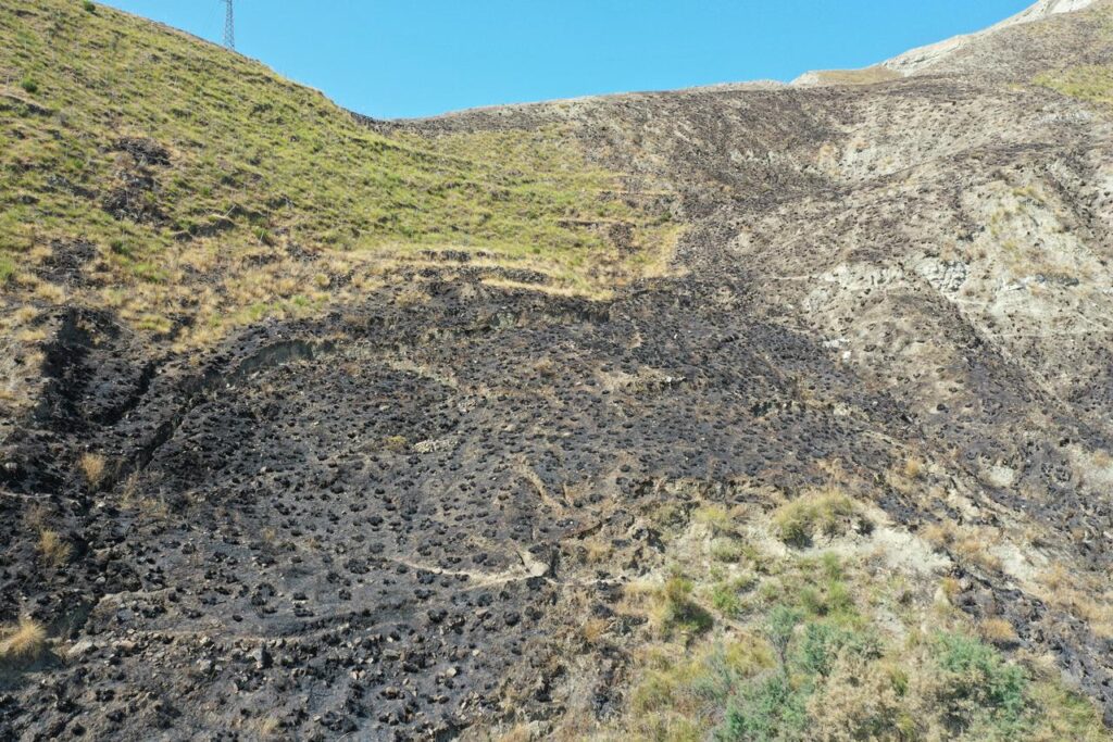incendio terreno confiscato melito porto salvo
