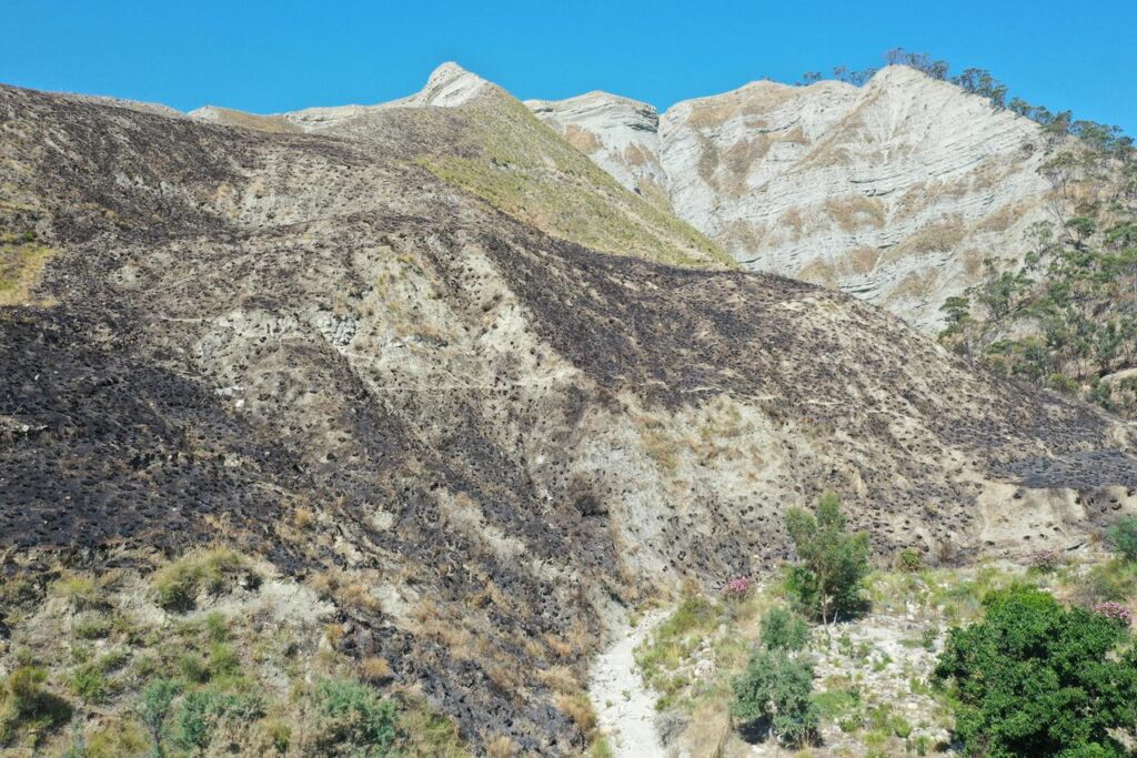 incendio terreno confiscato melito porto salvo