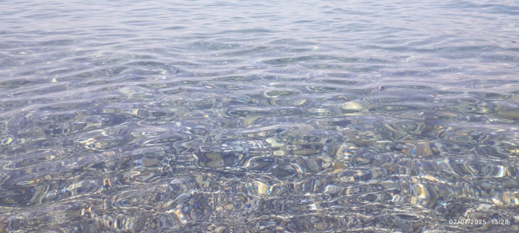pesci morti mare pentimele