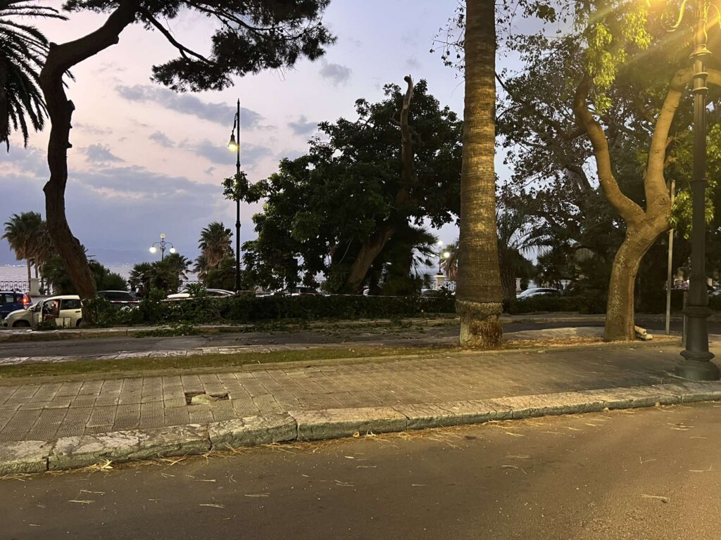 ramo caduto lungomare falcomatà