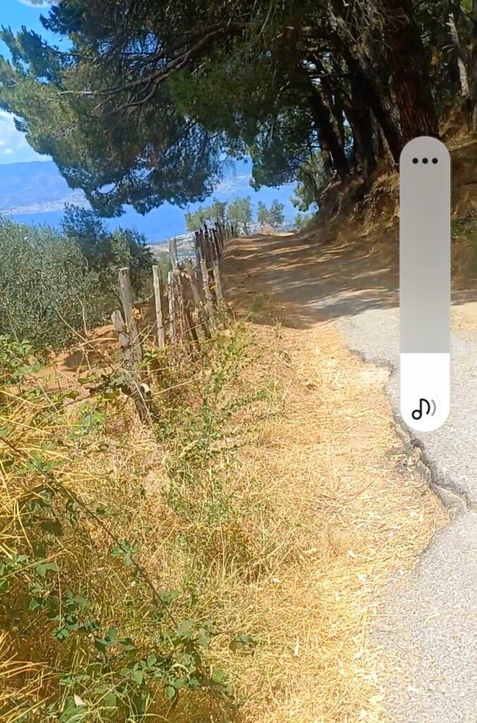 strada Diminniti -Ortì