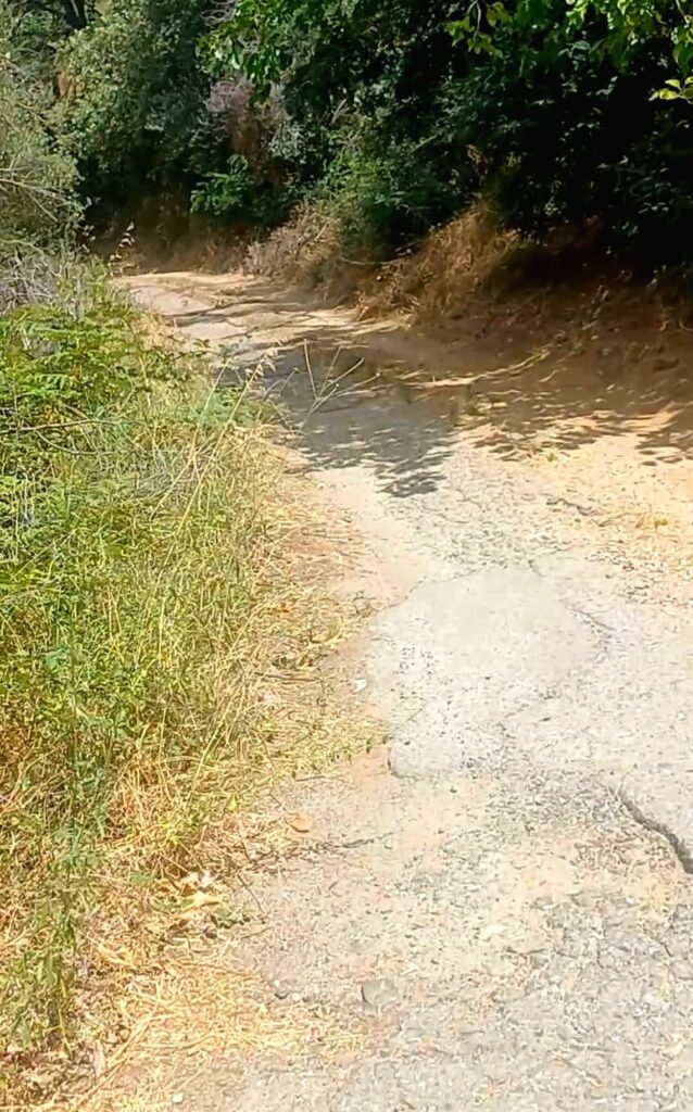 strada Diminniti -Ortì