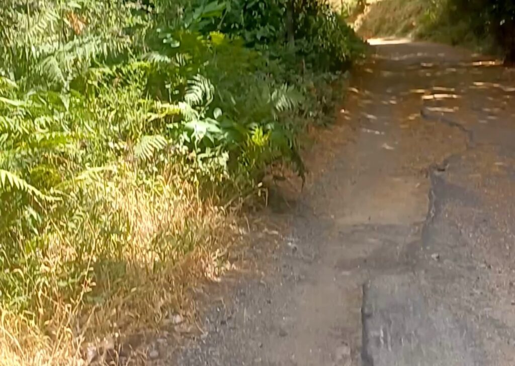 strada Diminniti -Ortì