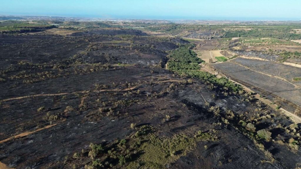 sughereta di Niscemi distrutta dal fuoco