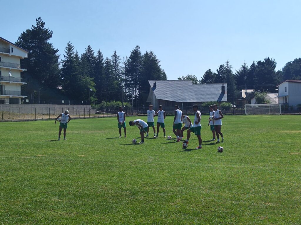 Cosenza-Vigor Lamezia