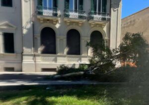 Crollo ramo albero via Marina