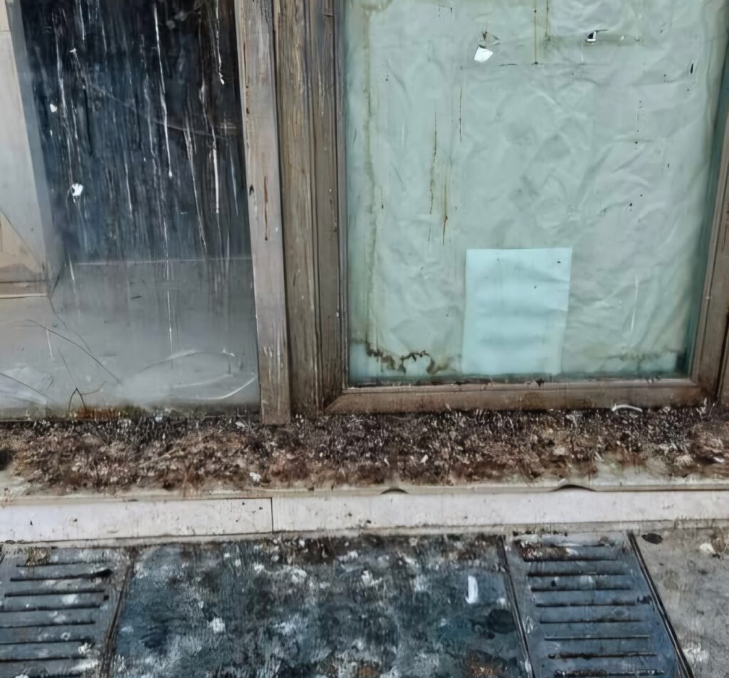 Degrado Corso Garibaldi Reggio Calabria escrementi piccioni