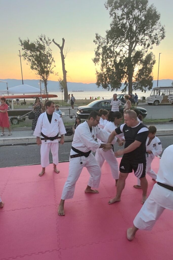 Difesa e Armonia – Shorinji Kempo