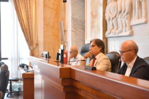 Falcomatà Consiglio Metropolitano
