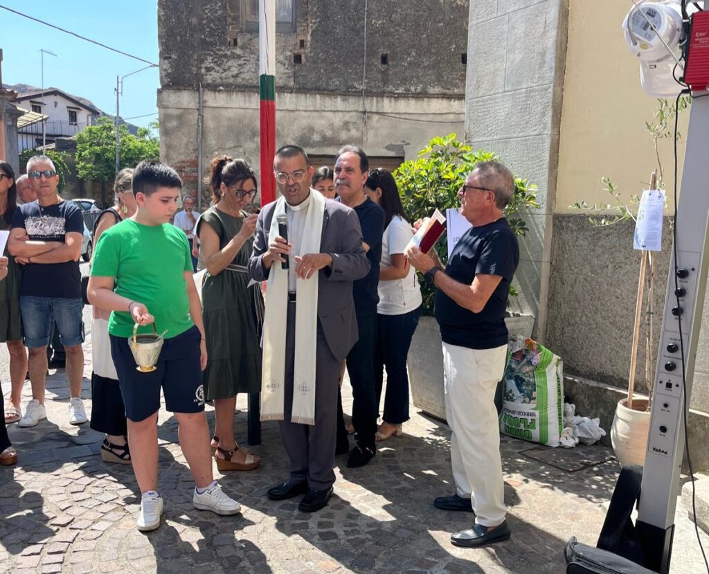 Festa della Beata Vergine Assunta in Cielo Olivo Bianco Madonna