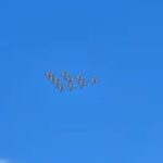 Frecce Tricolori Messina