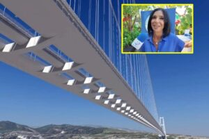 Ponte sullo Stretto Giusi Princi