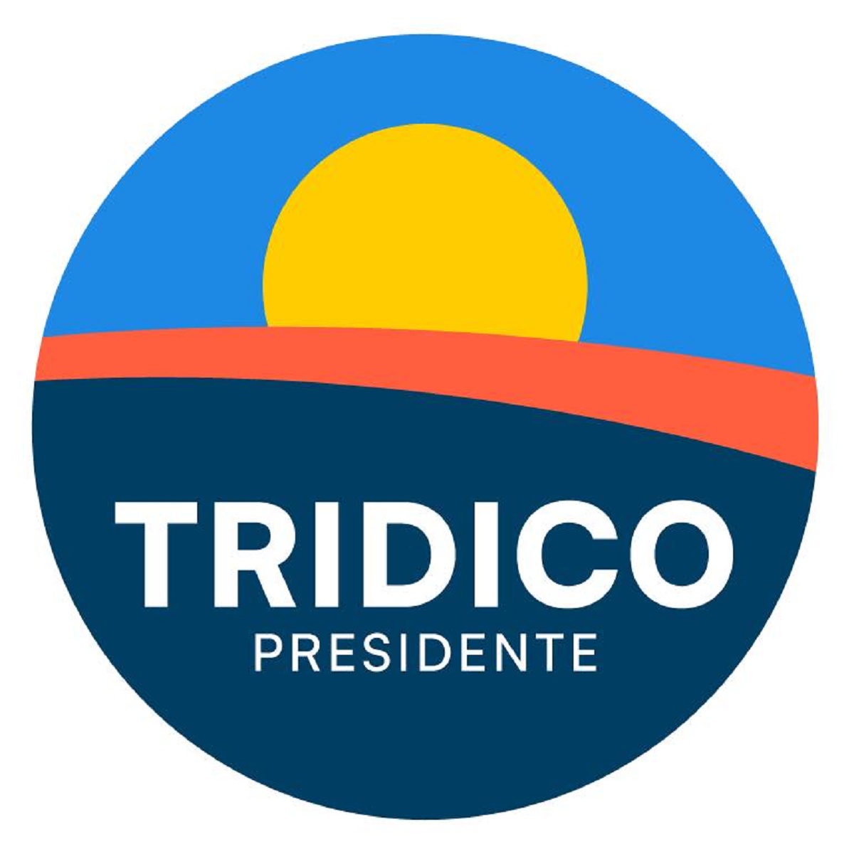 Tridico Presidente
