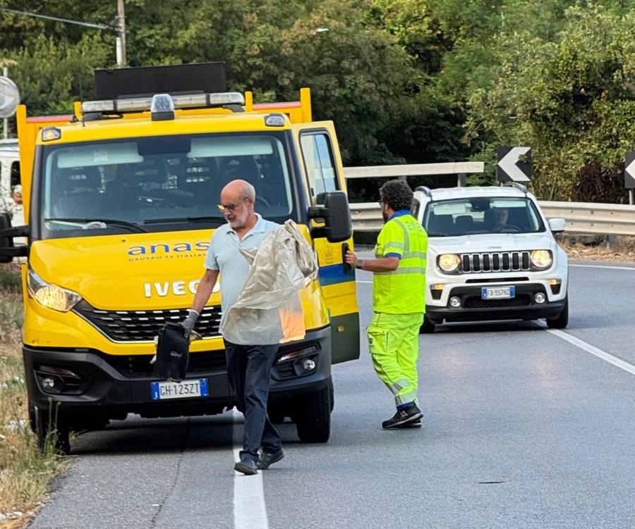 Vibo pulizia statale 18 comune e anas