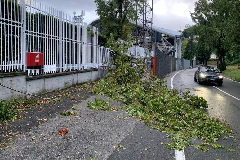 albero crolla stadio picco la spezia