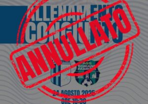 annullamento test vibonese