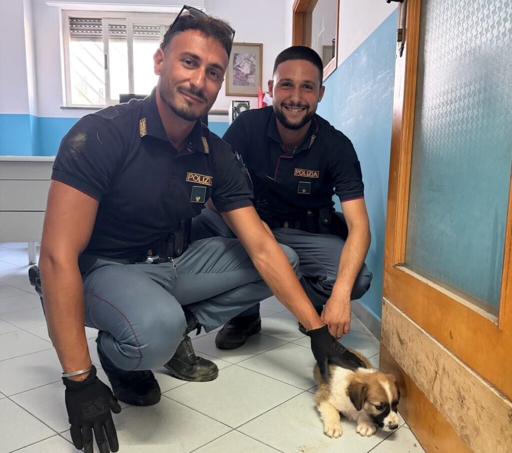 cagnolino salvato dalla polizia