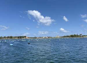 coltivazione cozze lago torre faro
