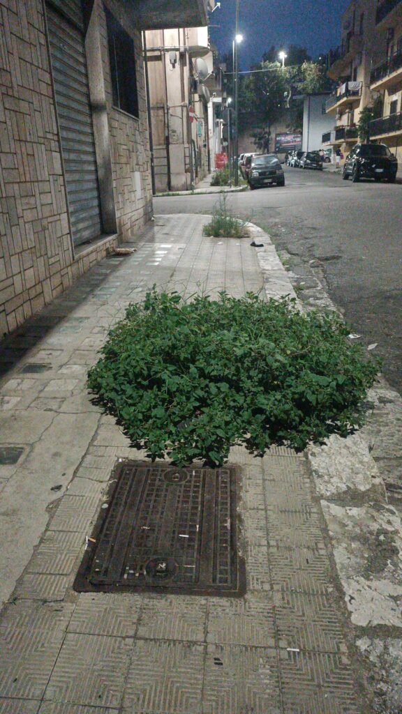 degrado centro storico