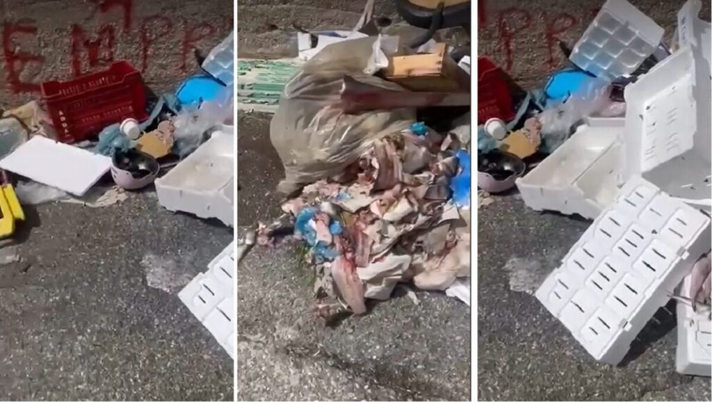 degrado via Lia reggio calabria