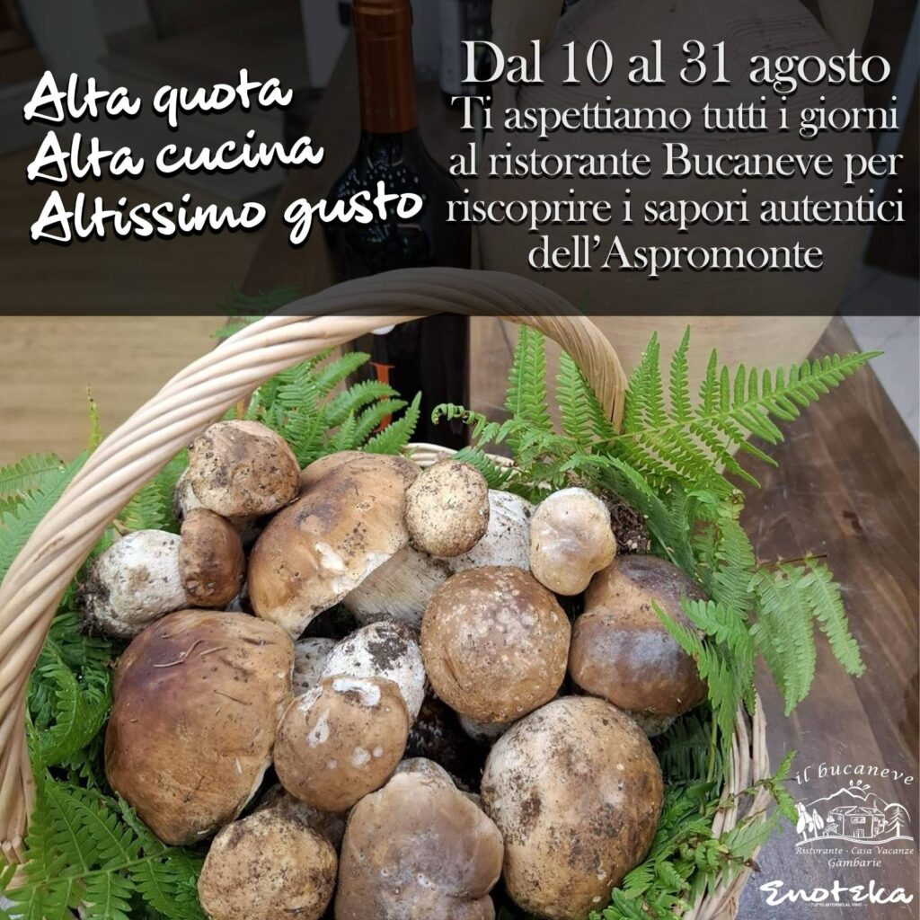 hotel bucaneve gambarie