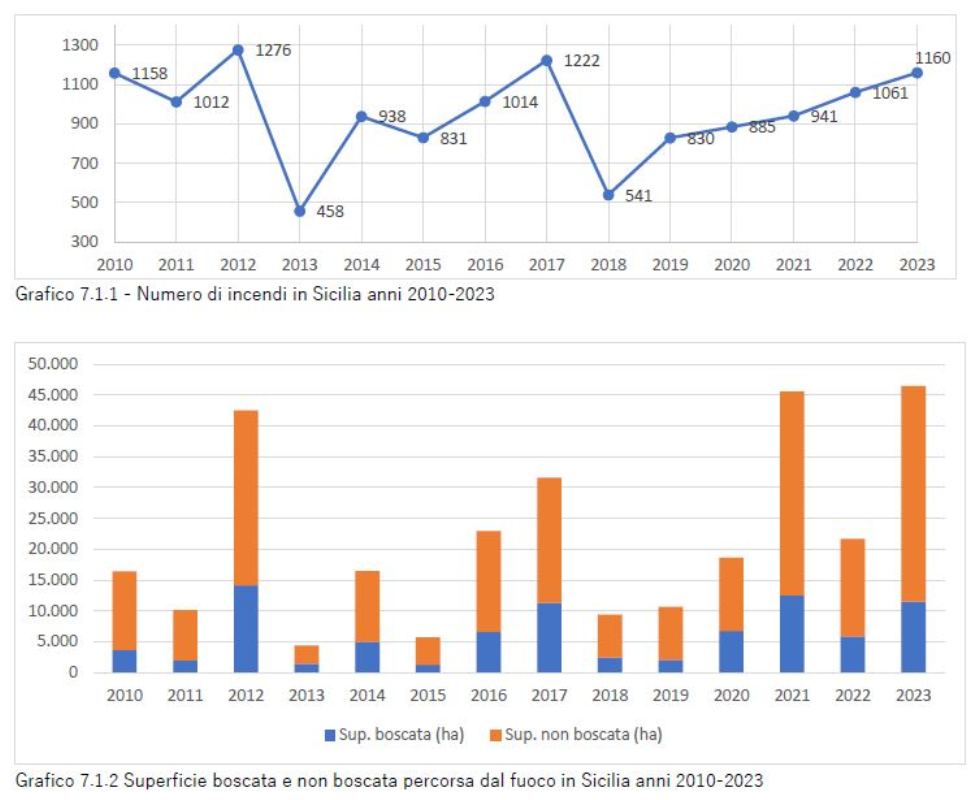 incendi_boschivi-e-non-boschivi