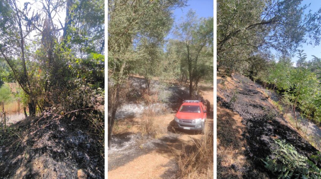 incendio cinquefrondi