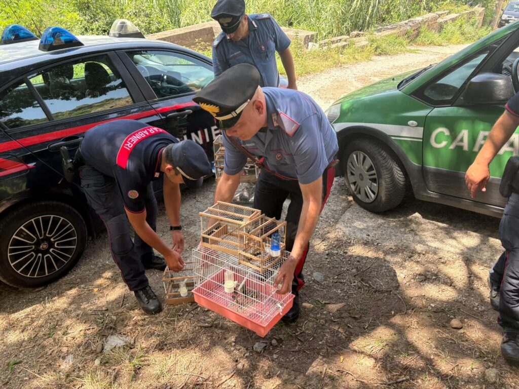 sequestro cardellini Villa