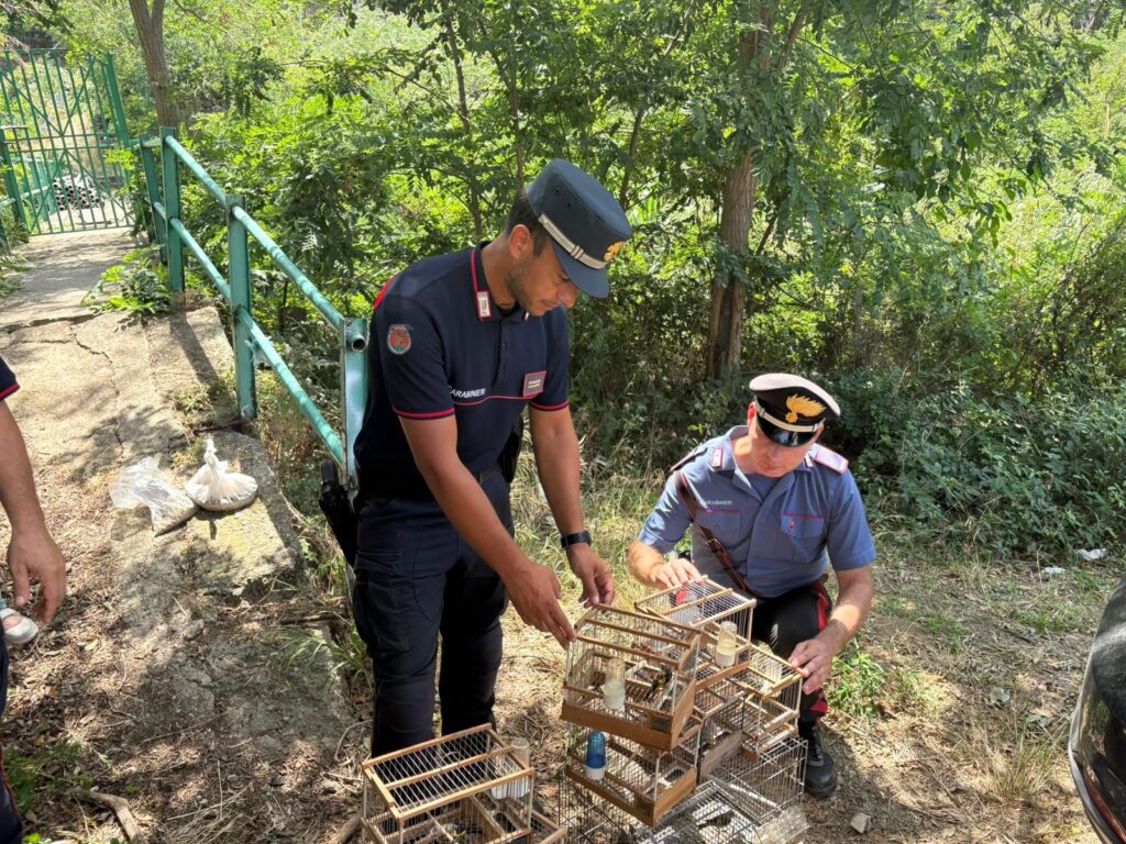 sequestro cardellini Villa