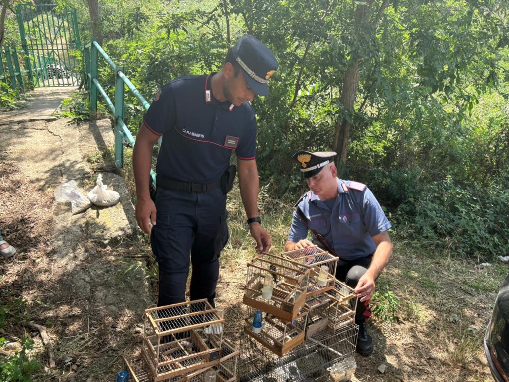 sequestro cardellini Villa