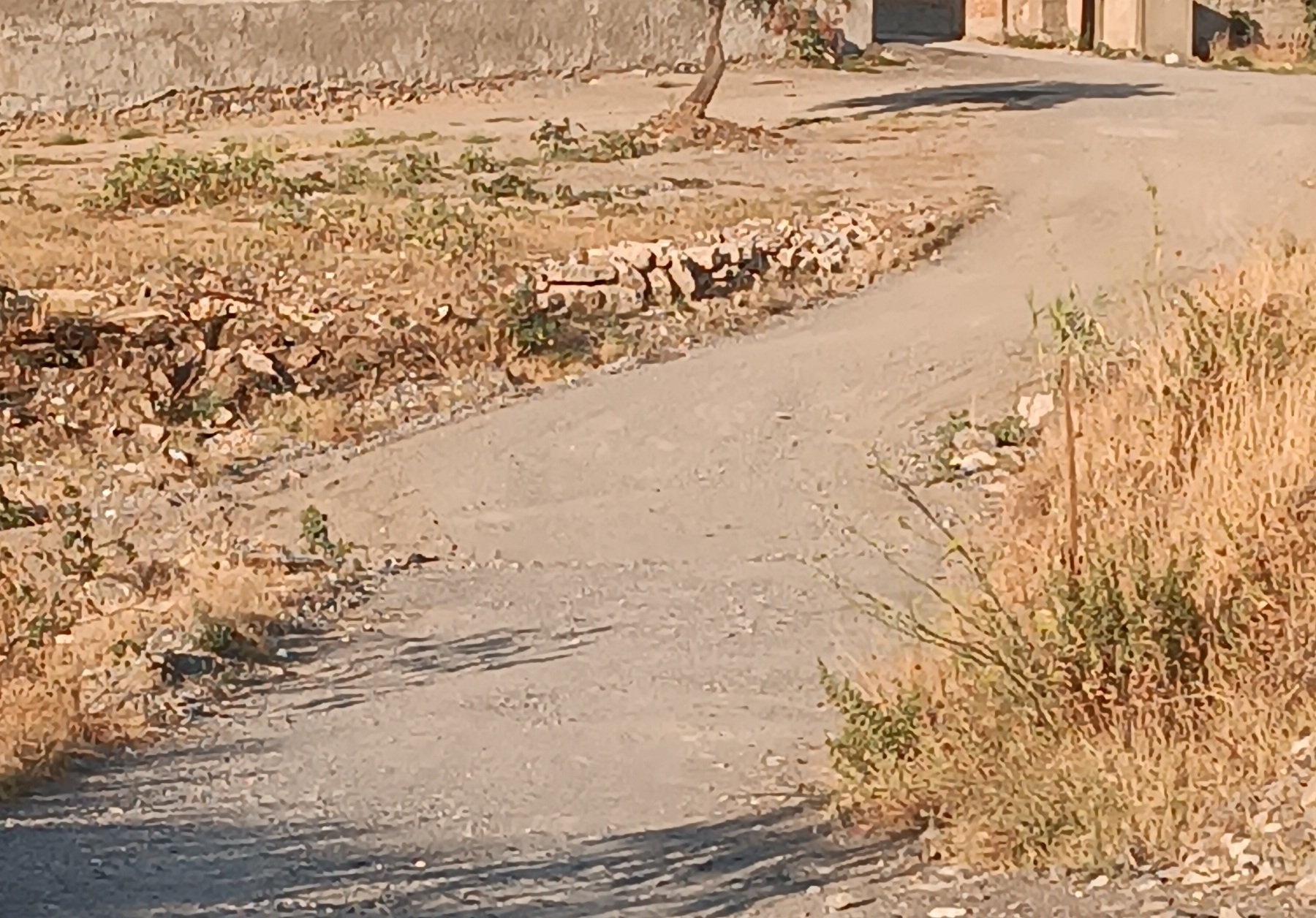 strada curduma