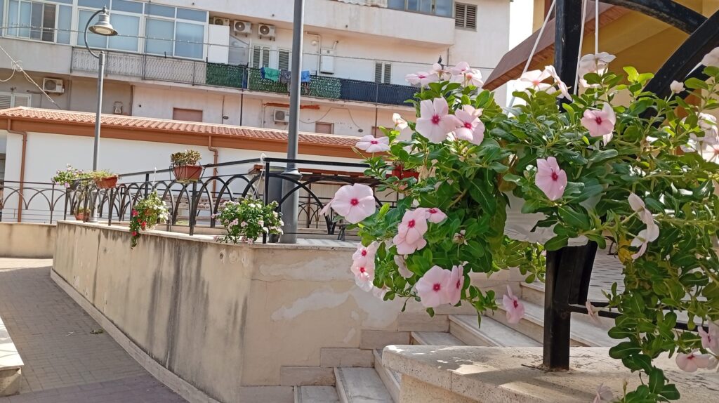 Allestimenti iniziativa arte e fiori croce valanidi bovetto