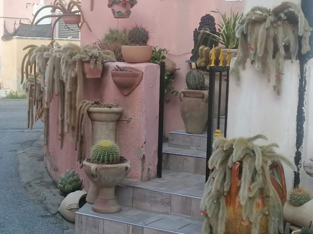 Allestimenti iniziativa arte e fiori croce valanidi bovetto