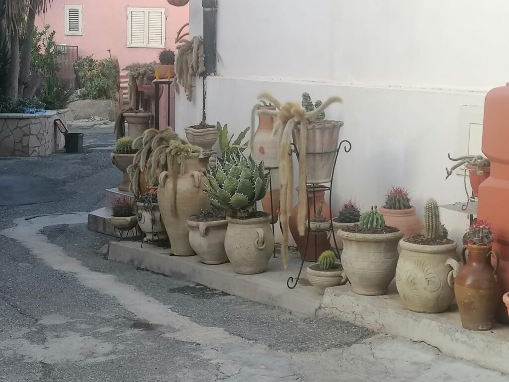Allestimenti iniziativa arte e fiori croce valanidi bovetto