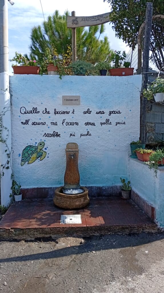 Allestimenti iniziativa arte e fiori croce valanidi bovetto