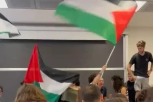 Blitz pro Palestina
