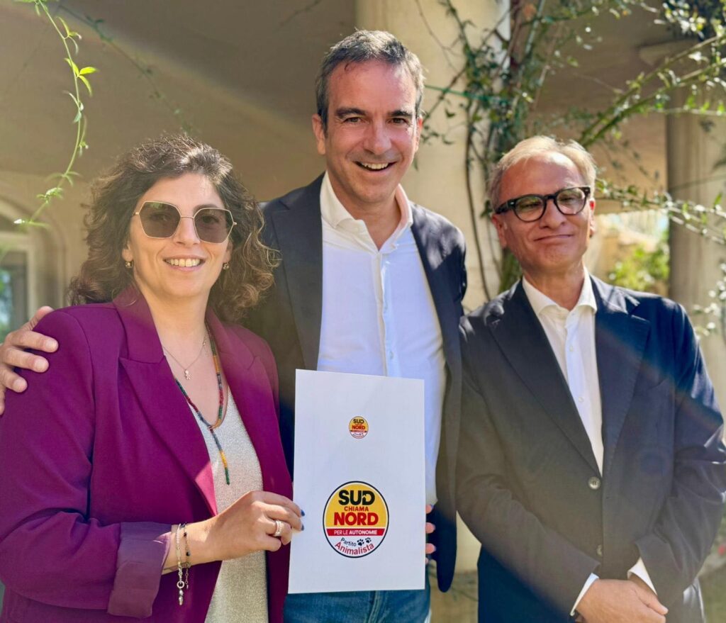 Castelli , occhiuto, gallo